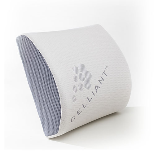 bio-san-celliant-jastuk-za-leda